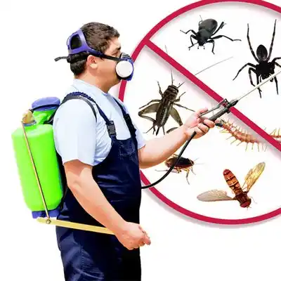 pest control Littleton